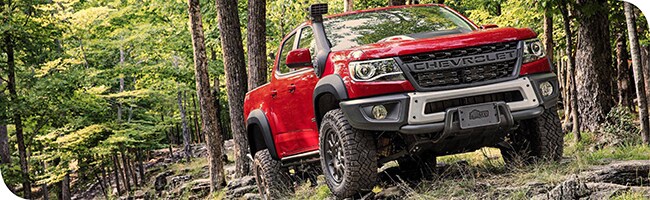 2019_colorado_zr2_bison.jpg
