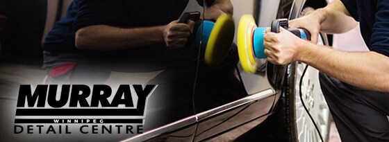 Murray Detail banner.jpg