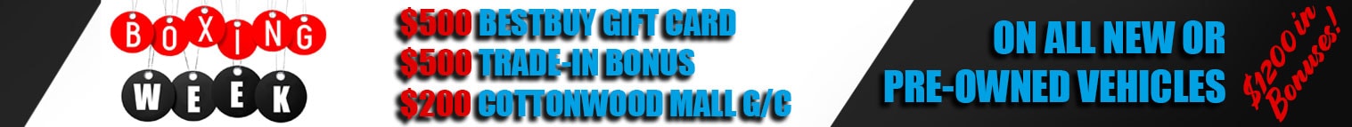 Boxing-Week-banner2.jpg