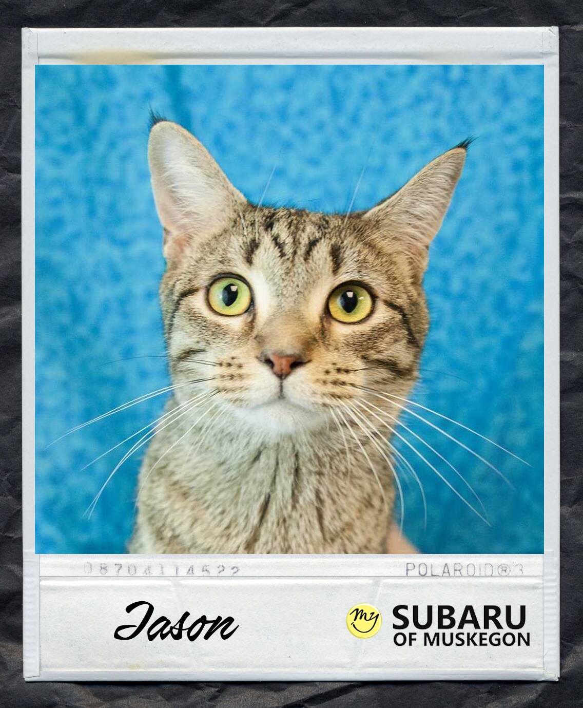Jason Polaroid.png