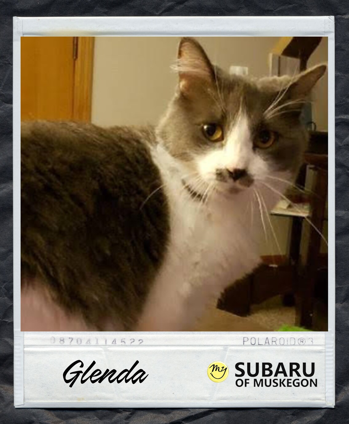 Glenda Polaroid.png