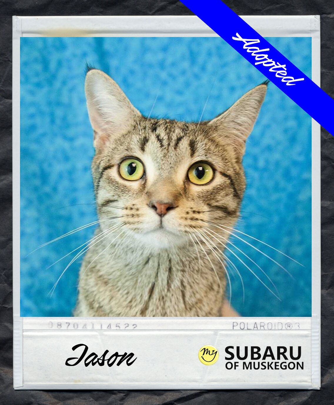 Jason Polaroid Adopted.png