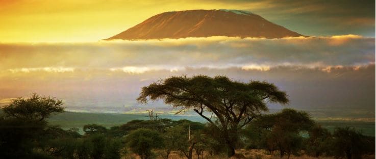 Mt Kilimanjaro 2017.JPG