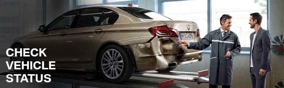 Check Vehicle Status Check Vehicle Status