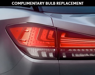 Complimentary Bulb Replacement Complimentary Bulb Replacement