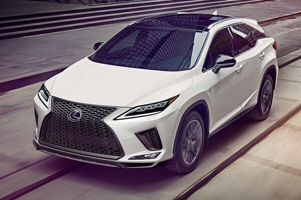 LexusPUP1.jpg