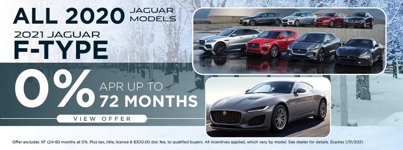 Jaguar 2021-3.jpg