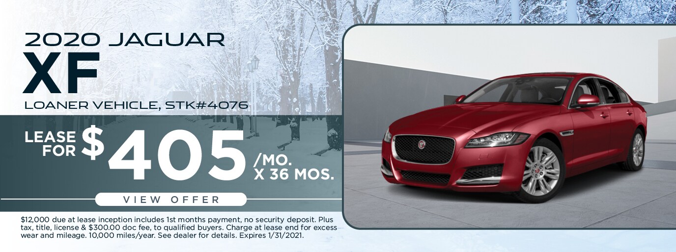 Jaguar 2021-2.jpg