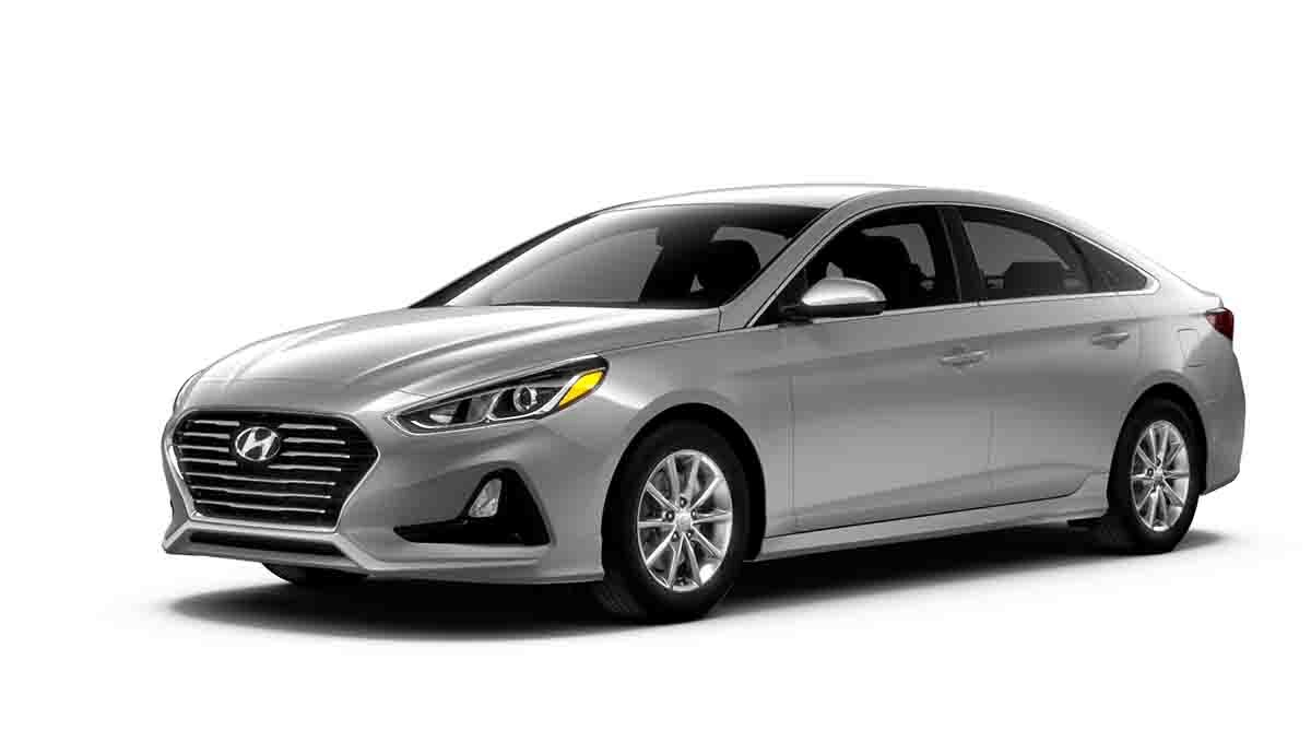 hazelwood sonata