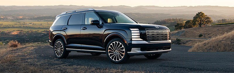 Hyundai Palisade in Hazelwood For Sale