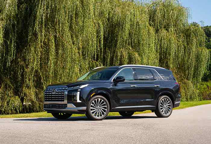 Hyundai Palisade Calligraphy