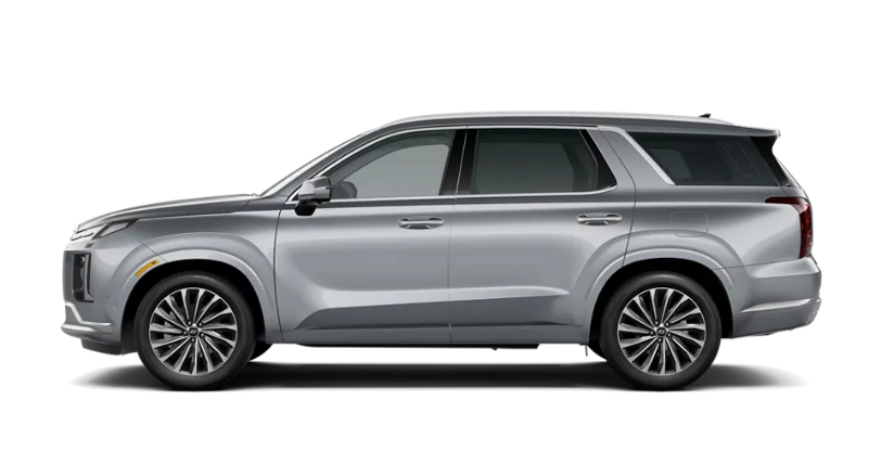 Typhoon Silver Hyundai Palisde