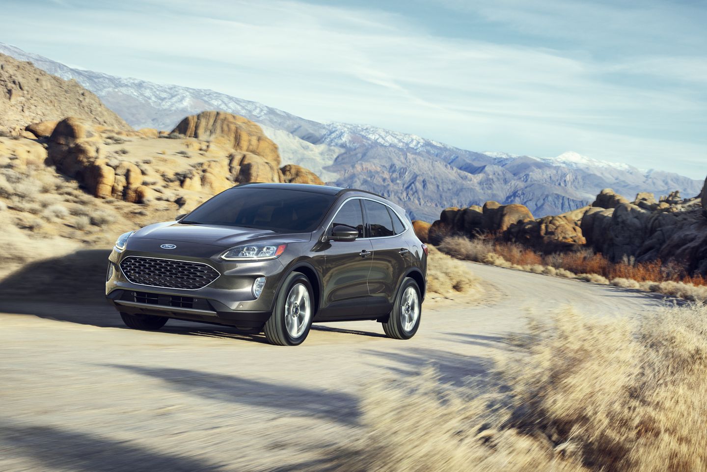 2020 Ford Escape for Sale in Libertyville, IL