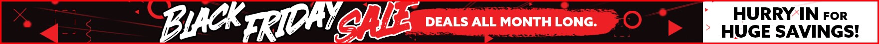 Black Friday Sale