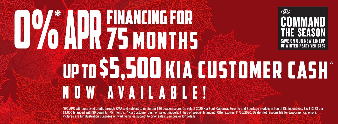 0% APR Financing Available