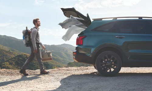 New Sorento for sale