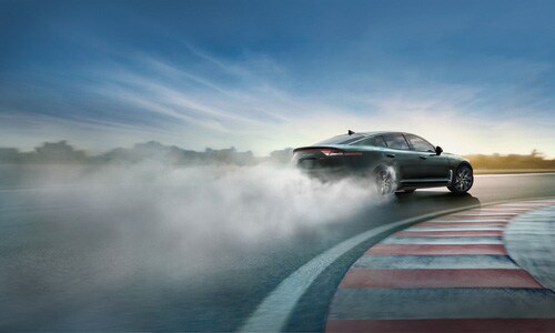 Stinger Performance Stinger Performance