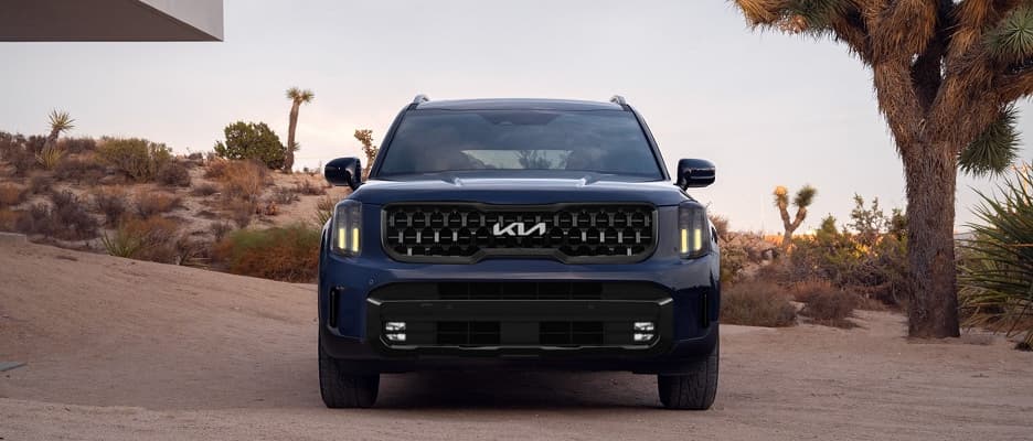 Kia Telluride Grille Kia Telluride Grille