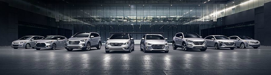 2017 Hyundai Models.JPG