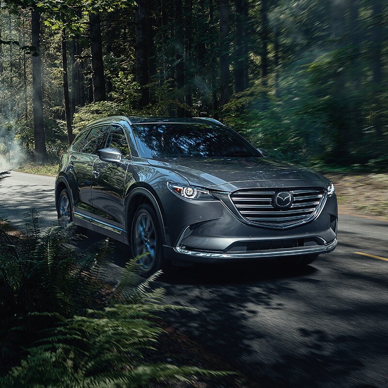 cx-9.png