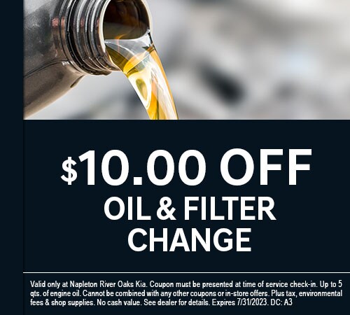 Oil and Filter Change Special