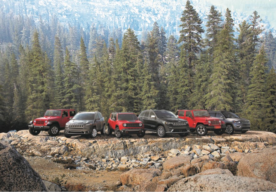 Napleton's Arlington Heights Chrysler Dodge Jeep RAM