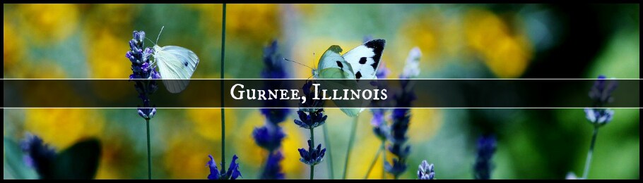 Gurnee Area Chrysler Dealer