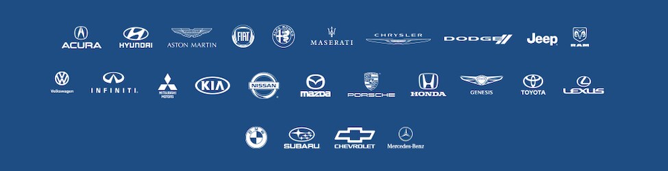 EdNapleton-Stores-Logos.png