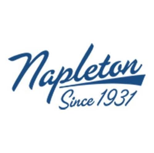 Napleton Logo.PNG save big on used cars at our used car dealership in orlanfo fl - used auto dealer orlando florida - used cars fl