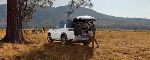 Nissan Pathfinder Trunk Nissan Pathfinder Trunk