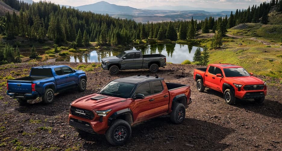 Toyota Tacoma Pickup Trucks Toyota Tacoma Pickup Trucks