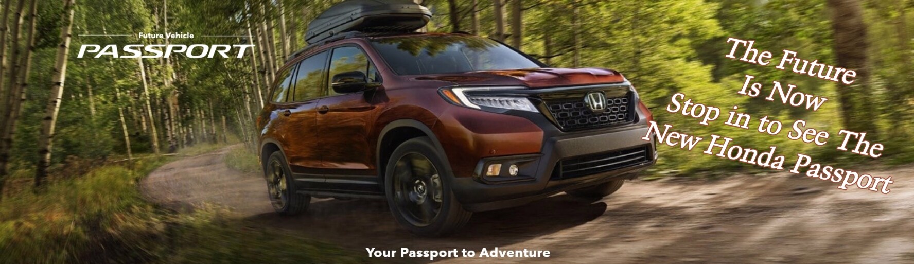 2019passport003.jpg