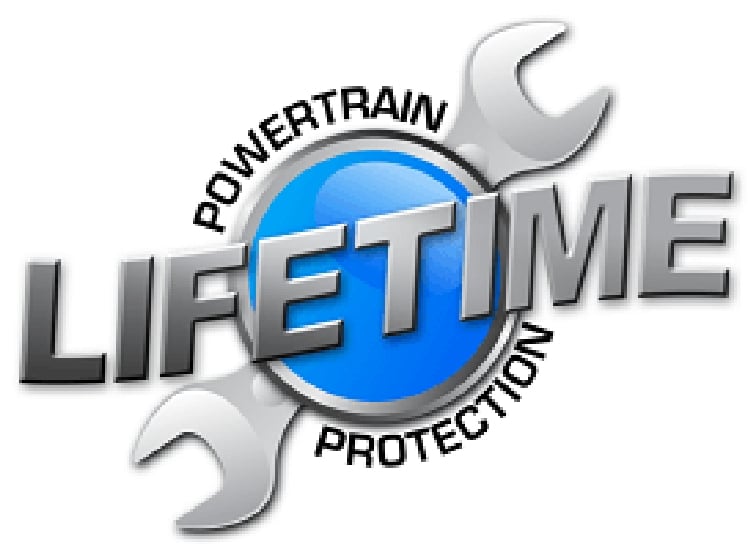 lifetime002.jpg