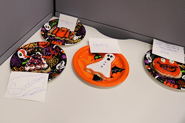 cookie contest
