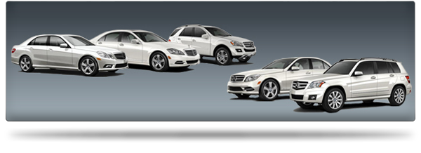 Mercedes fleet program