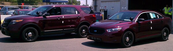 MSP Interceptors web.jpg