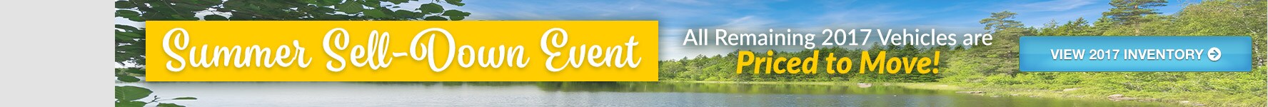 nelson-banner-cta_grey-june-2018.jpg