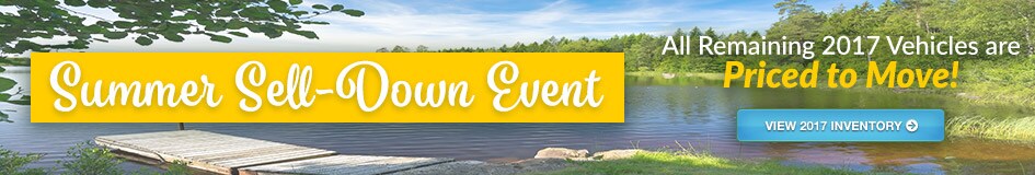 nelson-banner-june-2018 (3).jpg