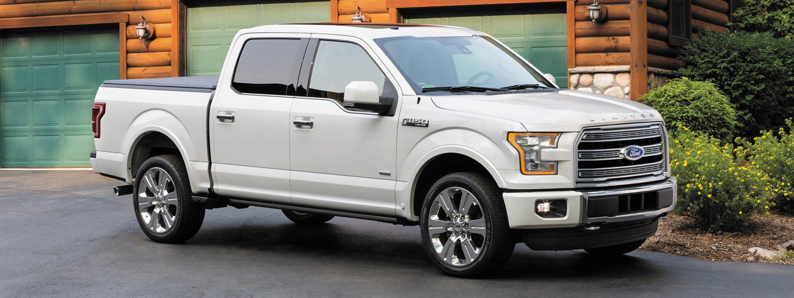 Used Ford F-150 Trucks in Martinsville Virginia