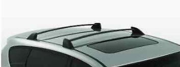 Subaru roof rack.jpg