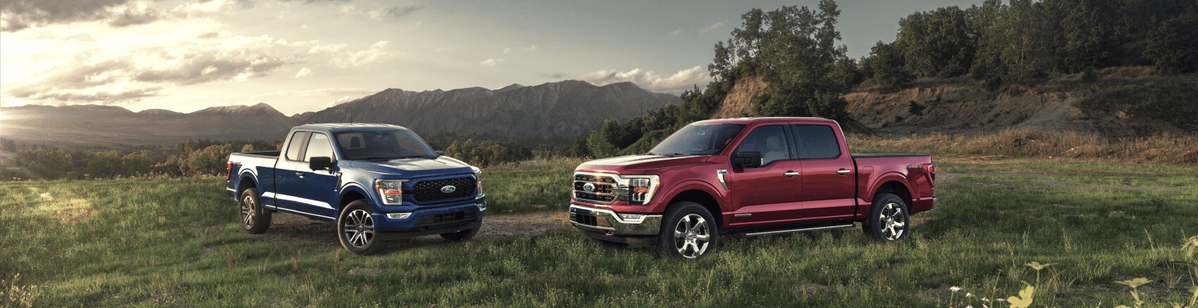 Ford Model Comparisons