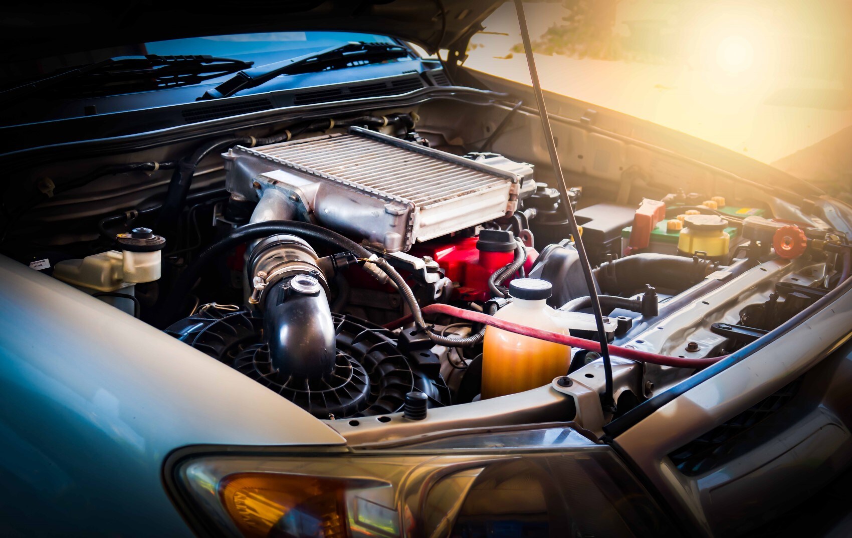 Used Car Service