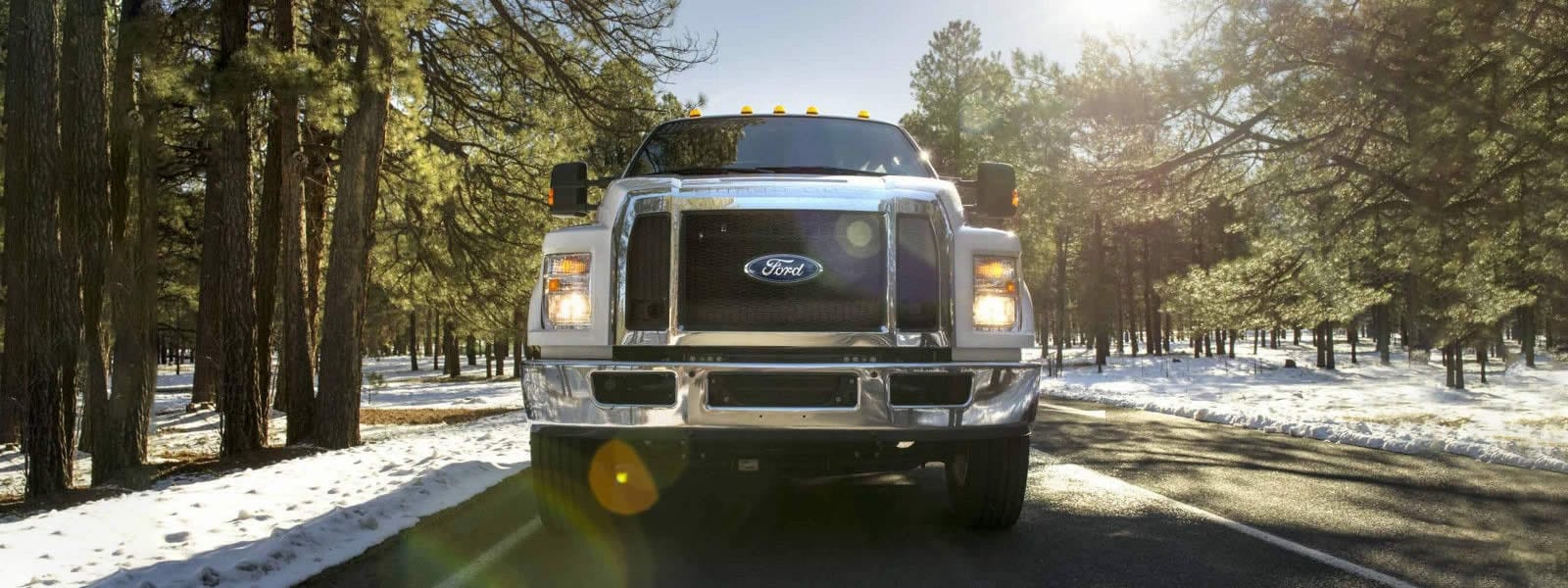 exclusive-ford-diesel-gas-engines.jpg