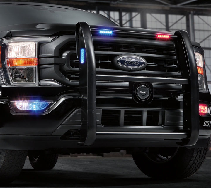 grille_f150.jpg