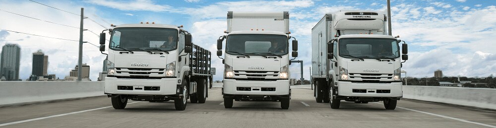 Isuzu FTR Trucks