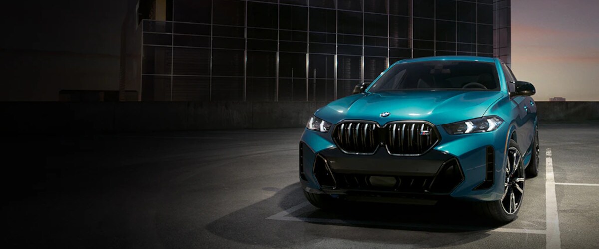 2024 BMW X6