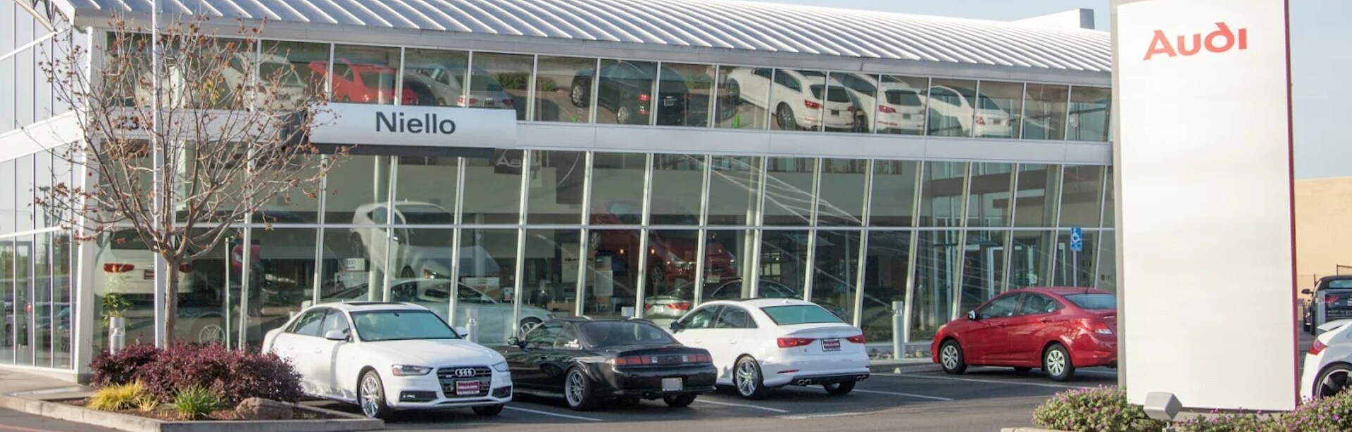 Niello Audi