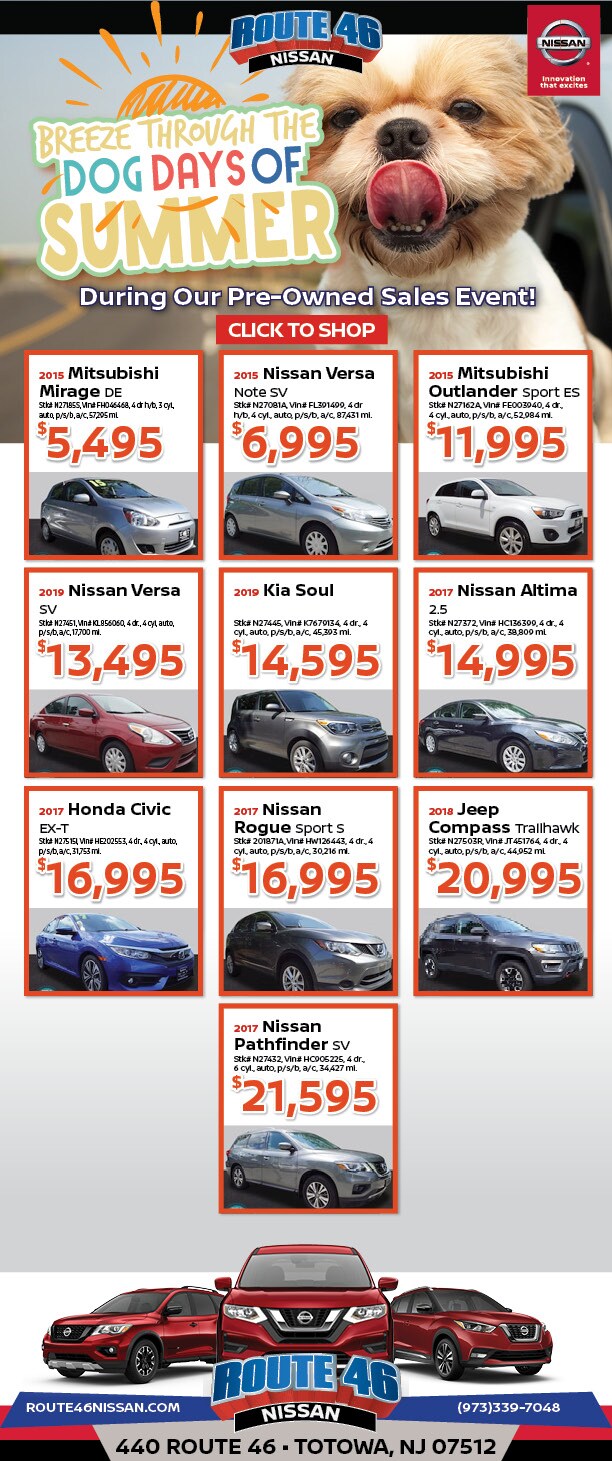 Rt46N-059 dog days of summer used car eblast.jpg