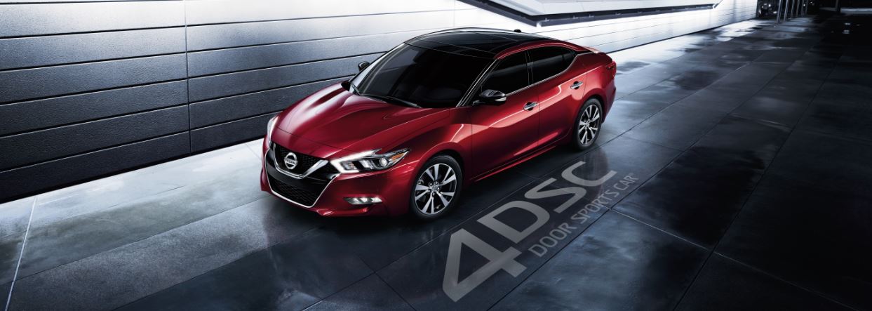 Maxima 4DSC 1 Red.JPG