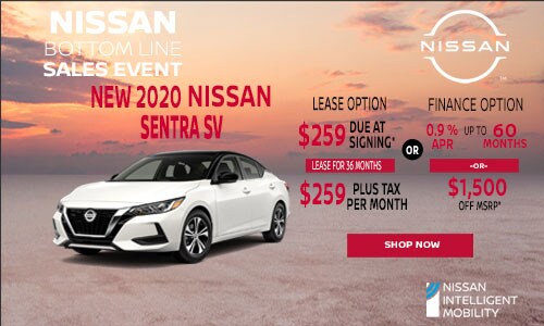 2020-AUGUST-SENTRA-LANDING-PAGE-CREATIVE-8.5.jpg